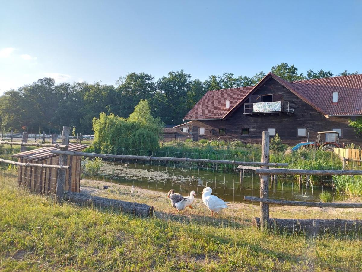 Hotel Stajnia Karczow Exterior foto